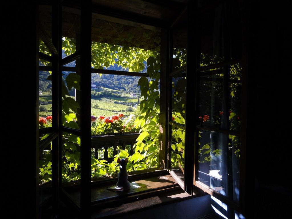 Bertagnolli - Del Bel Sorriso Hotel Trient